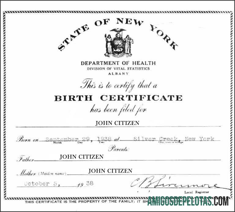 Certidão de nascimento da Divisão de Estatísticas Vitais do Departamento de Saúde de Nova York modelo